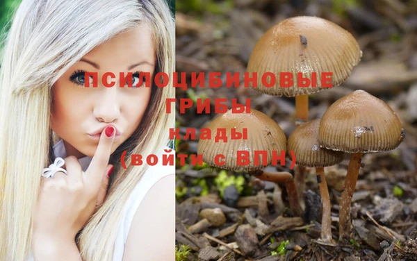apvp Балабаново