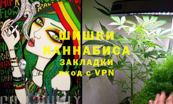 дживик Баксан