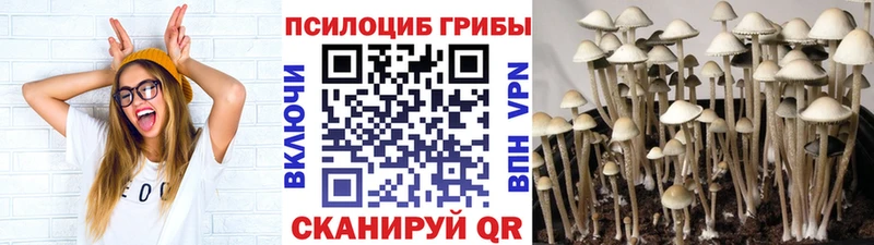 Галлюциногенные грибы MAGIC MUSHROOMS  купить закладку  Заречный 